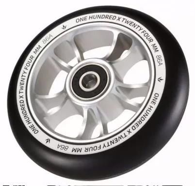 Rueda Blunt 10 Spokes 100 Silver Black